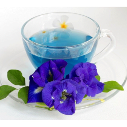  دمنوش گل گاوزبان